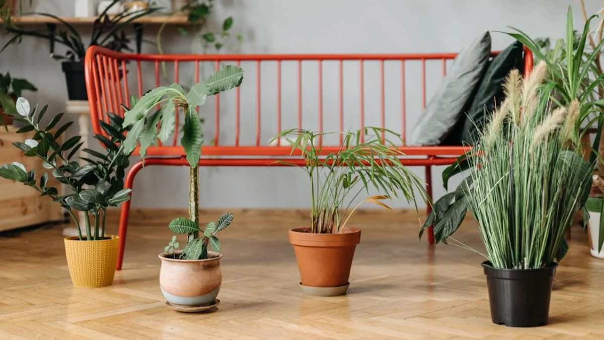 Indoor Plants Are Essential in Modern Homes