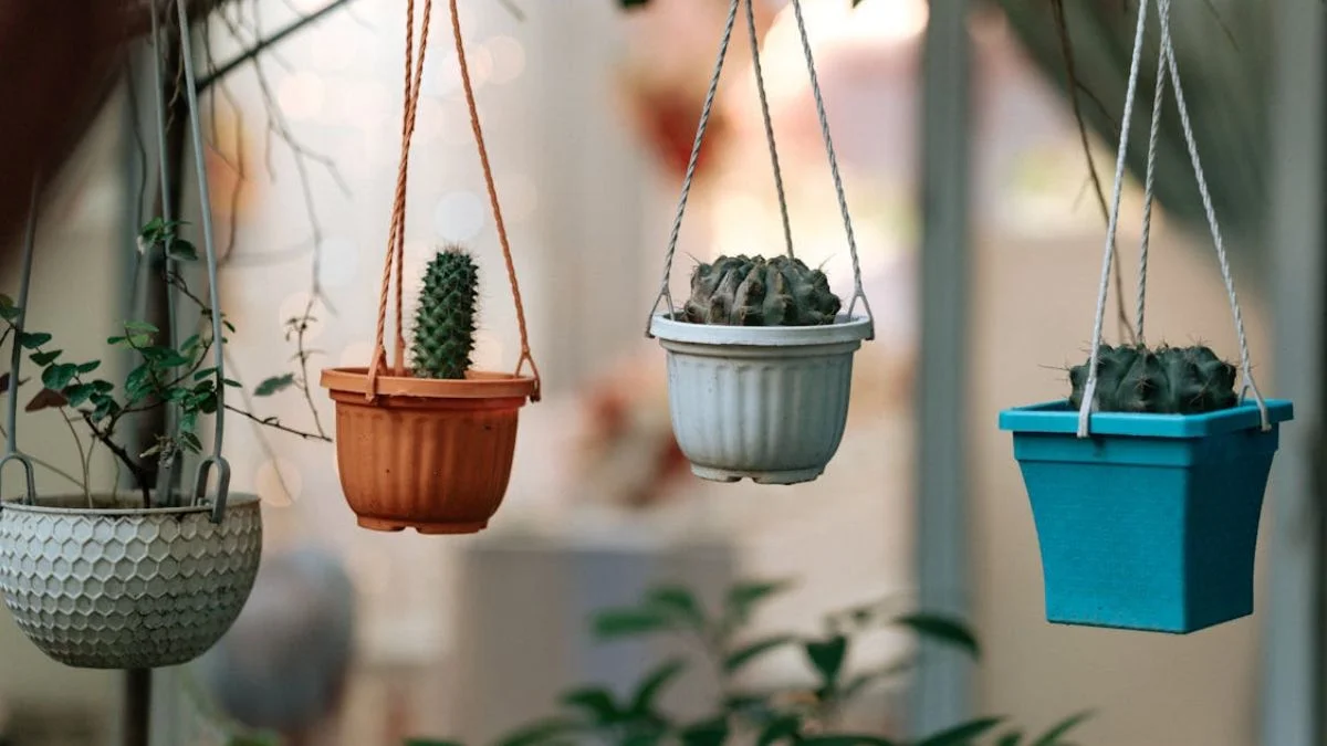 hanging plants creates a soft, natural flow