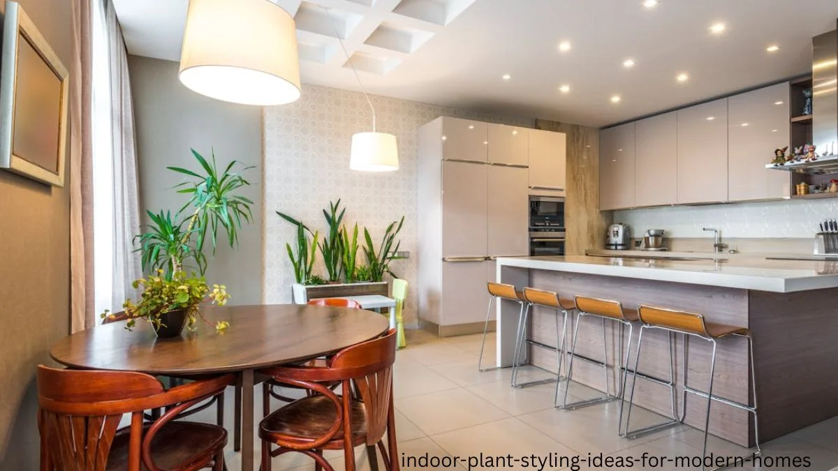 indoor plant styling ideas for modern homes