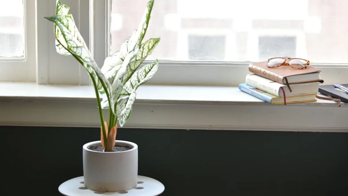 Use Clear Glass Planters