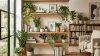 Indoor Plants for Shelves and Bookcases: 12 Easy Picks That Actually Thrive - Post Thumbnail