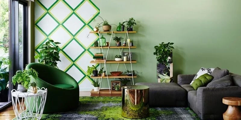 Entry-Point Greenery
Indoor Plant