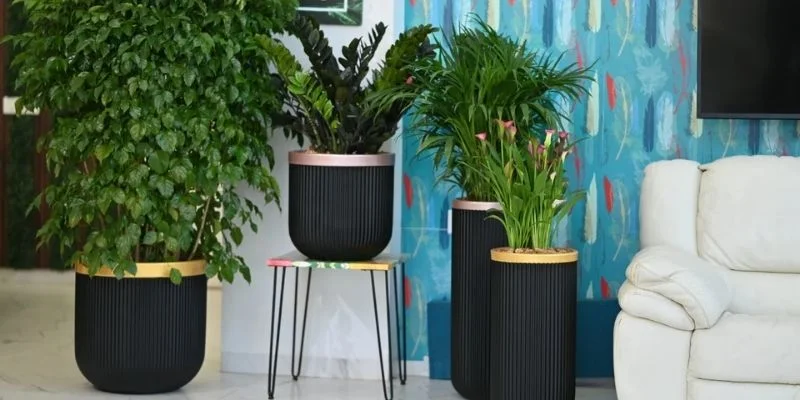  Grouping Plants for Impact