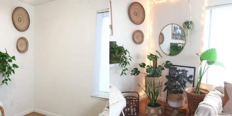 Create a Cozy Plant Corner