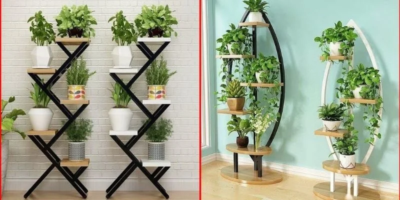 Corner Placement for Tall Indoor Plants