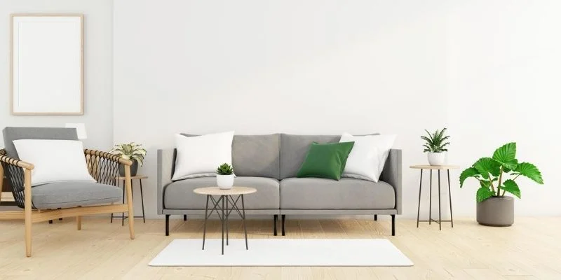 Minimalist Single-Plant Centerpiece