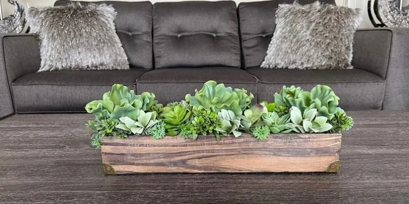 Plants Work Perfectly as Living Room Centerpieces
