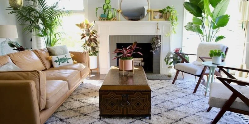 Mixed Plant Group Centerpiece