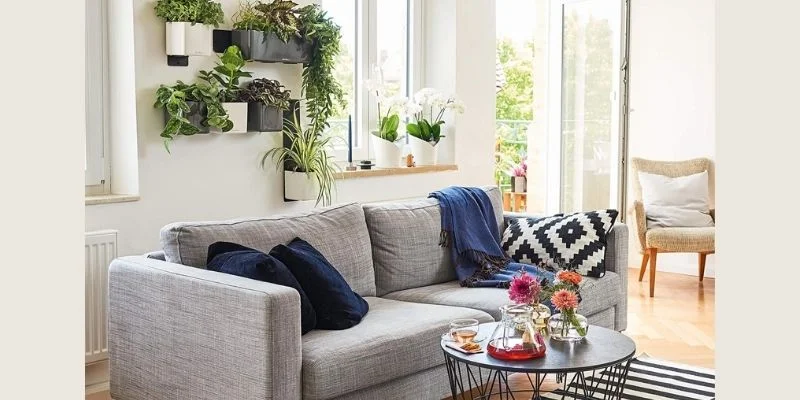 Seasonal Plant Centerpieces