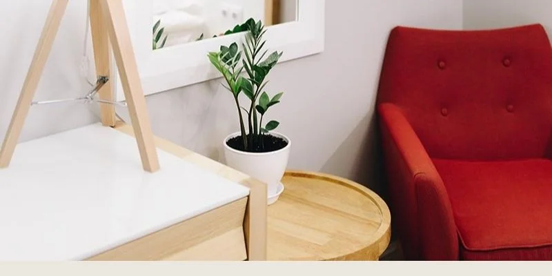 Low-Maintenance Plant Centerpieces