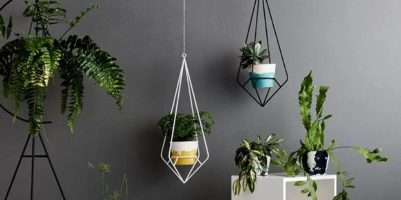 Choose Hanging Plants for Living Room Décor