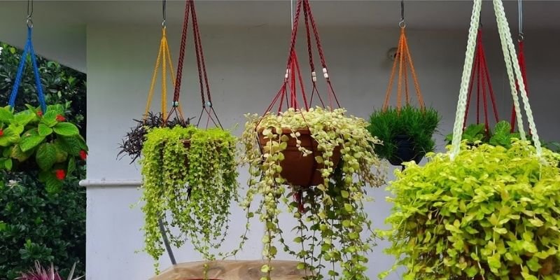 Stylish Ways to Display Hanging Plants