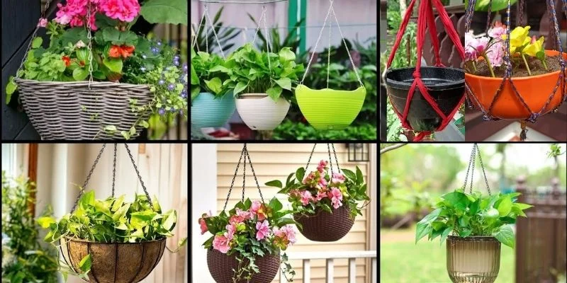Best Pots & Hangers for Hanging Plants