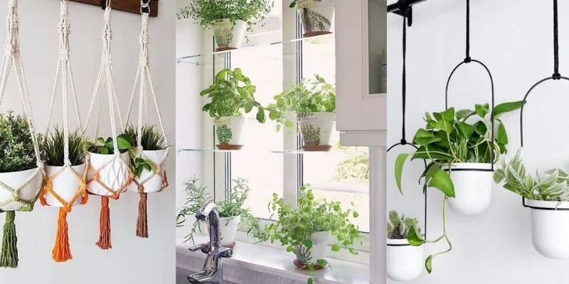 Hanging Plant Seasonal Styling Tips