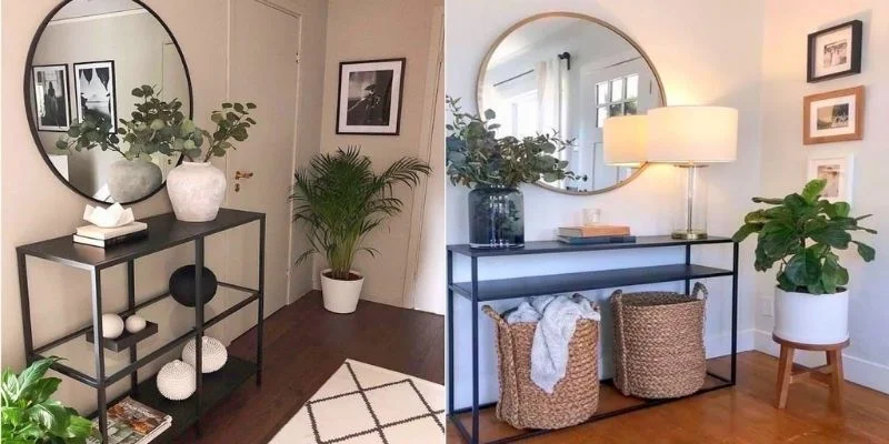 Modern Living Room Plants are Essential for Your Interior