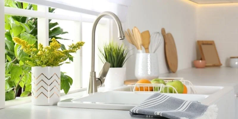 Choose Low Light Plants for Kitchen Areas