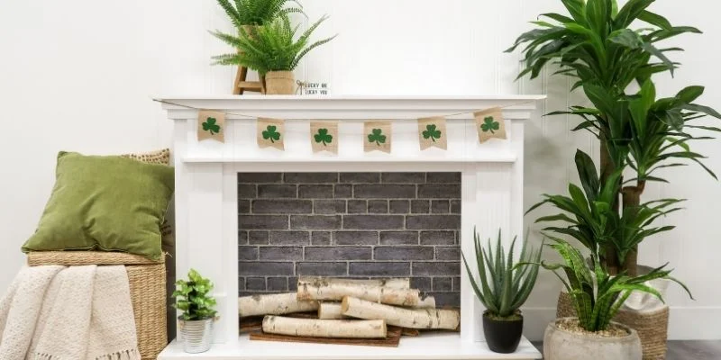 Fireplace Mantel Plant Decor
