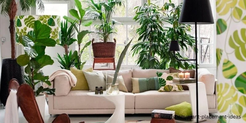 living room plant placement ideas