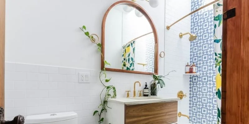  Best Low Light Bathroom Plants