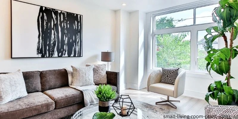 small living room plant ideas
