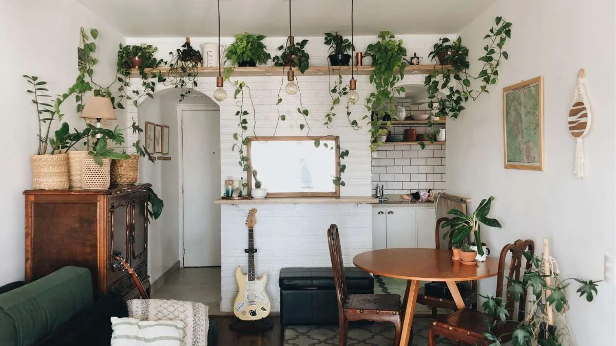 Vertical Greenery: The Floating Shelf