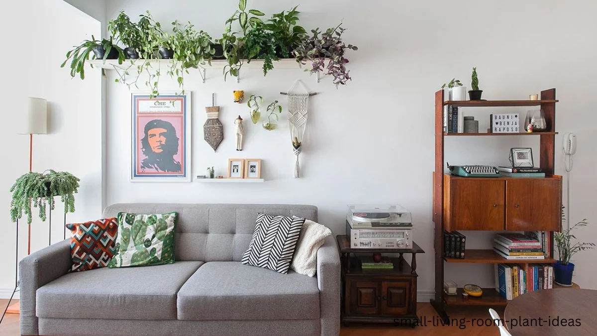 small living room plant ideas